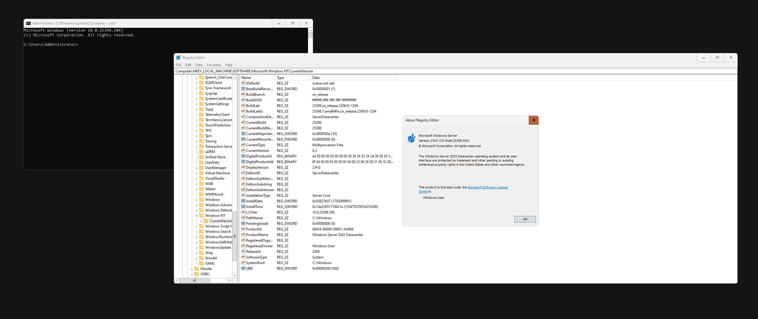 Aktivatsiya Windows Server Version 23h2 Originalnye Obrazy Ot Microsoft Msdn.webp