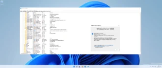 Aktivatsiya Windows Server Ltsc Version Dev Originalnye Obrazy Ot Microsoft.webp