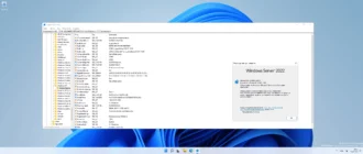 Aktivatsiya Windows Server Vnext Ltsc Preview Build 22463.1000 Originalnye Obrazy Ot Microsoft.webp