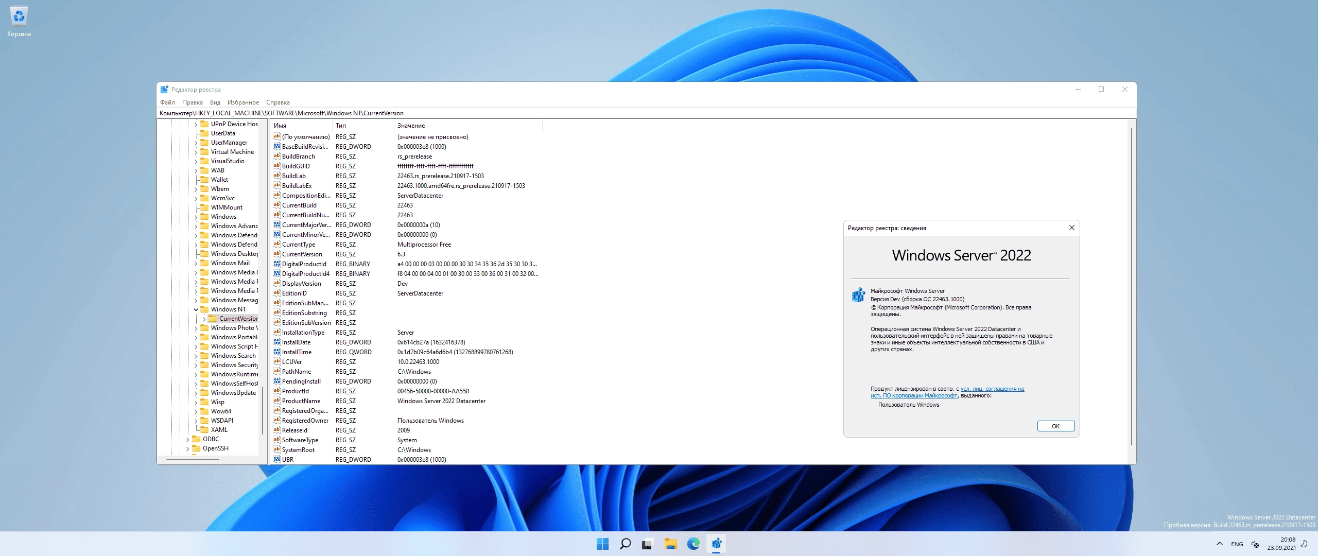 Aktivatsiya Windows Server Vnext Ltsc Preview Build 22463.1000 Originalnye Obrazy Ot Microsoft.webp