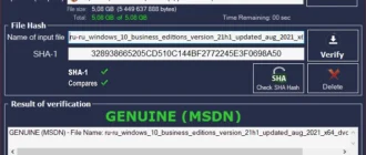 Aktivatsiya Windows And Office Genuine Iso Verifier 11.18.45.24 Portable.webp