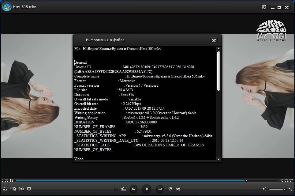 Aktivatsiya Windowsplayer 3.0.2.0 Repack By Alekseypopovv.webp