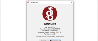 Aktivatsiya Wireguard Vpn 0.5.3.webp