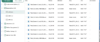 Aktivatsiya Wise Data Recovery Pro 6.1.3.495 Portable By Fc Portables.webp