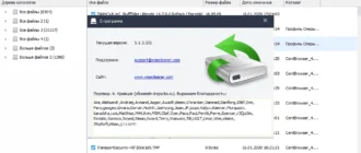 Aktivatsiya Wise Data Recovery Pro 6.2.0.517 Repack By Elchupacabra.webp