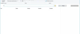 Aktivatsiya Wise Duplicate Finder 2.0.1.56.webp