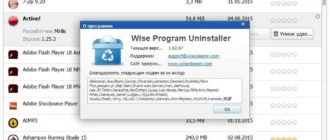 Aktivatsiya Wise Program Uninstaller 1.82.97 Portable.webp