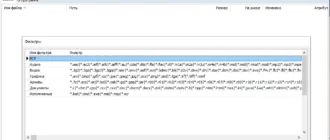 Aktivatsiya Wizfile 3.12 Portable.webp