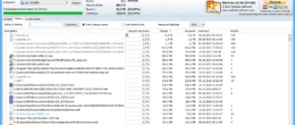 Aktivatsiya Wiztree 4.18 Portable.webp