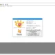 Aktivatsiya Xnview 2.46 Portable.webp