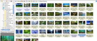 Aktivatsiya Xnview 2.46 Portable By Baltagy.webp