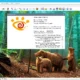Aktivatsiya Xnview 2.49.2 Complete Repack By Dakov.webp