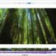 Aktivatsiya Xvid4psp 8.1.54 Pro Portable By Conservator.webp