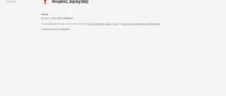 Aktivatsiya Yandeks Brauzer Dlya Organizatsii 19.3.2.webp