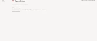 Aktivatsiya Yandeks.brauzer 18.4.1.638 Portable By Thumbapps.webp