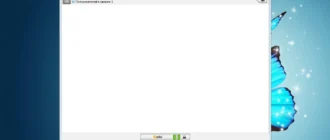 Aktivatsiya Zello 1.54.webp