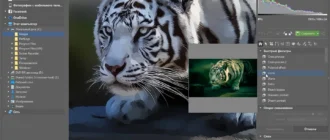 Aktivatsiya Zoner Photo Studio X 19.1610.2.7 Repack By Kpojiuk.webp