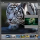 Aktivatsiya Zoner Photo Studio X 19.1610.2.7 Repack By Kpojiuk.webp