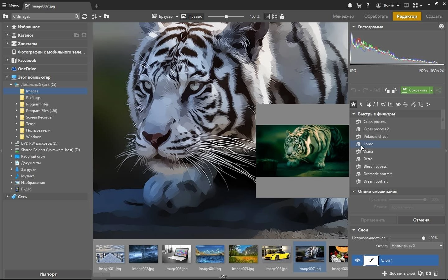 Aktivatsiya Zoner Photo Studio X 19.1610.2.7 Repack By Kpojiuk.webp