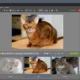 Aktivatsiya Zoner Photo Studio X 19.2309.2.507 Portable By 7997.webp
