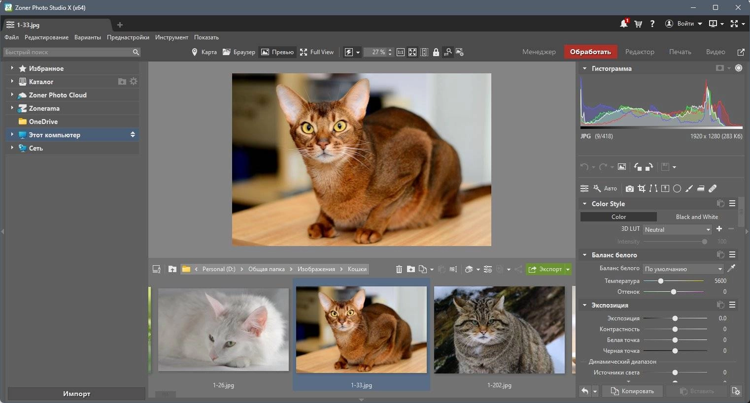 Aktivatsiya Zoner Photo Studio X 19.2309.2.507 Portable By 7997.webp