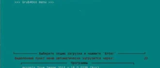 Aktivatsiya M0nkrus Fan V.4.webp