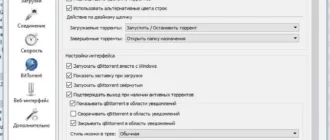 Aktivatsiya Qbittorrent 5.0.5.webp