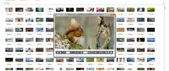 Aktivatsiya Reaconverter Pro 7.849 By Elchupacabra.webp