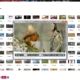 Aktivatsiya Reaconverter Pro 7.849 By Elchupacabra.webp