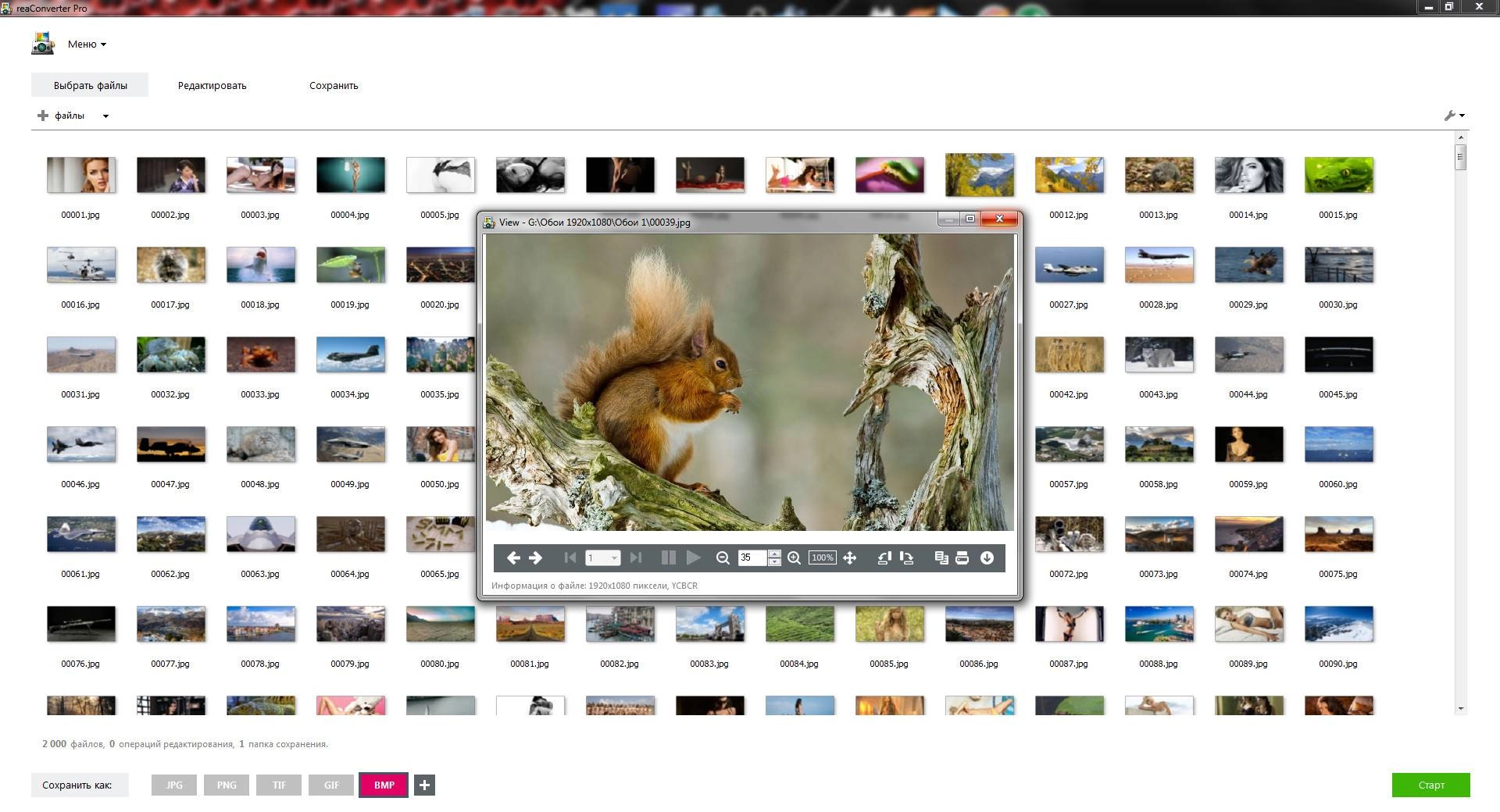 Aktivatsiya Reaconverter Pro 7.849 By Elchupacabra.webp