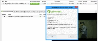 Aktivatsiya Utorrent 3.5.0 Build 44090 Pro Portable By Kolya3d79.webp