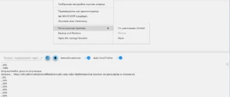 Aktivatsiya V2rayn 7.10.5 Portable.webp