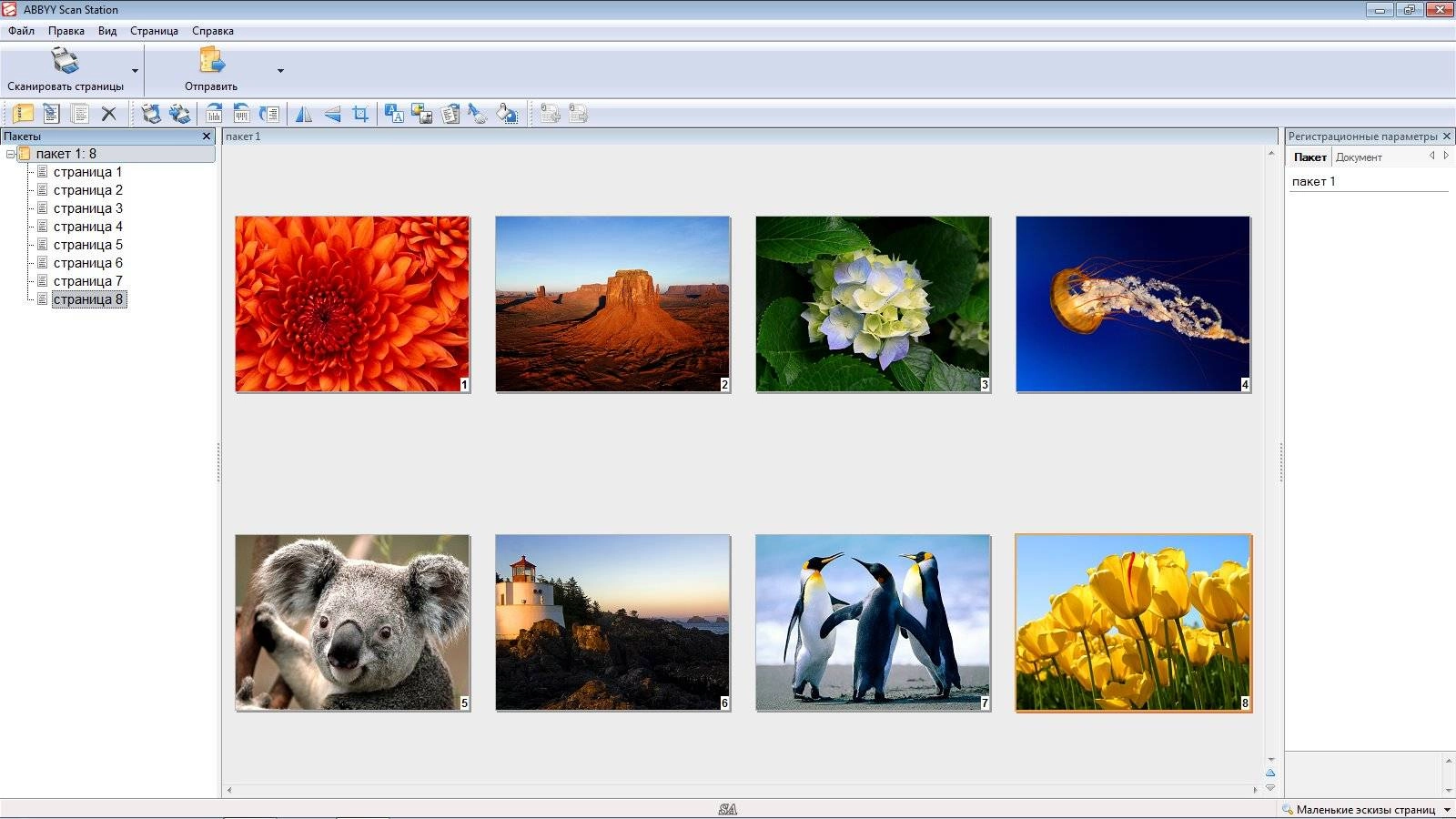 Активация ABBYY Scan Station 9.0.4.2615