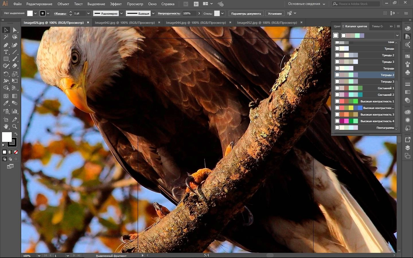 Активация Adobe Illustrator CC 21.0.0 RePack by KpoJIuK