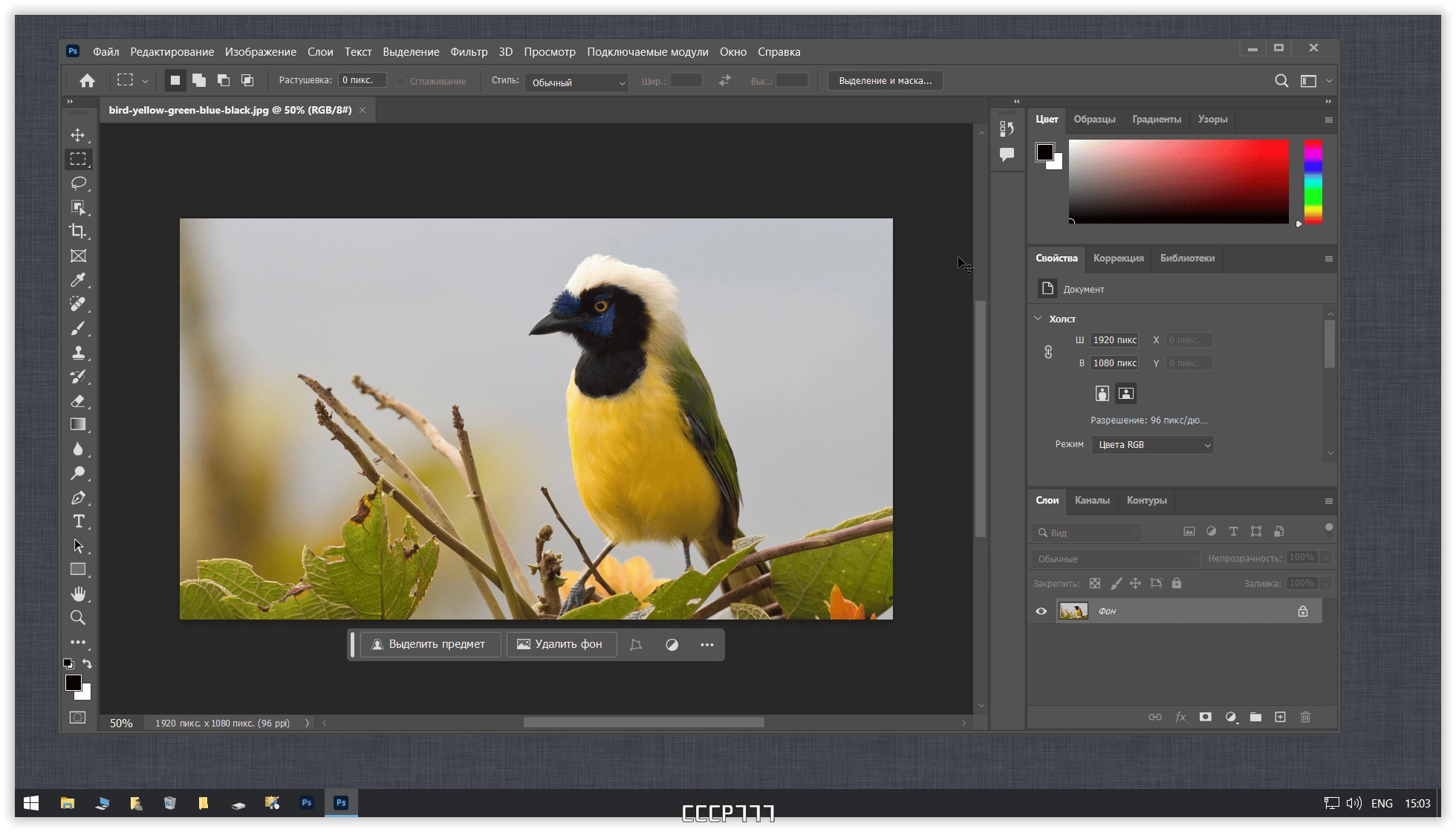 Активация Adobe Photoshop 25.12.2.1009 Full Portable by 7997