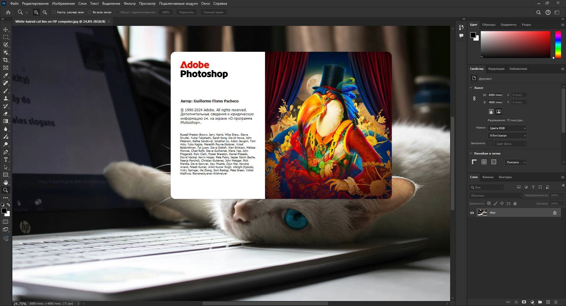 Активация Adobe Photoshop 26.1.0.121 RePack by SanLex