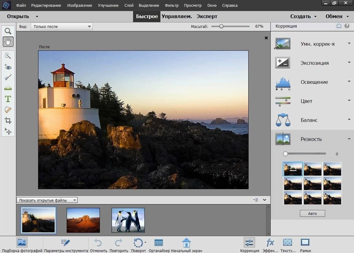 Активация Adobe Photoshop Elements 17.0 Multilingual | by m0nkrus