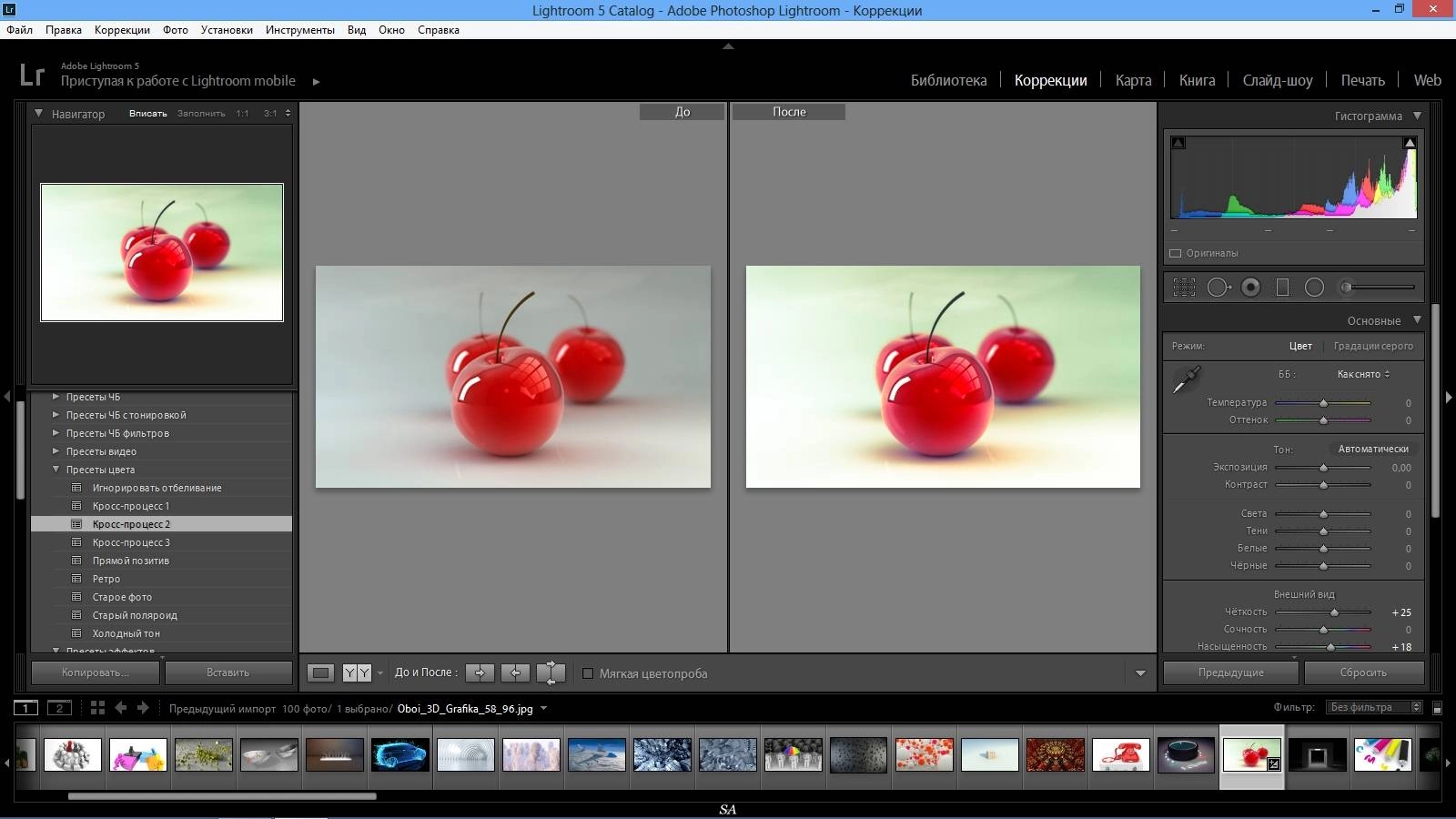 Активация Adobe Photoshop Lightroom 5.7 Final RePack by D!akov