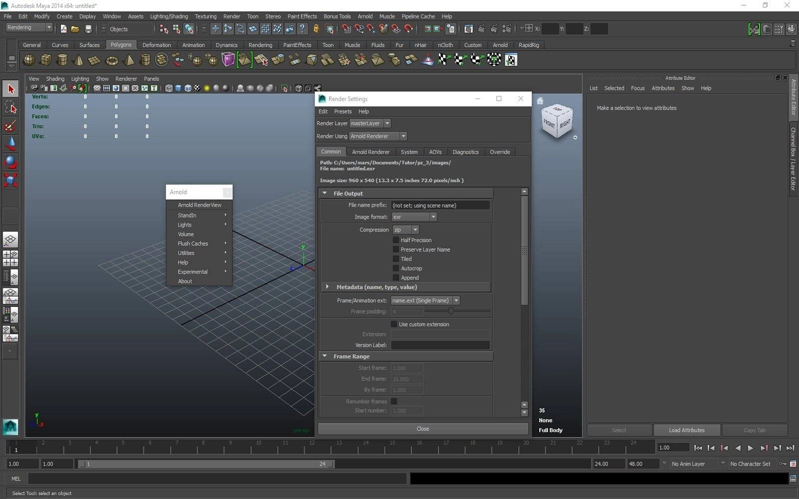 Активация Arnold Renderer v1.2.6.1 for Maya 2014-2016