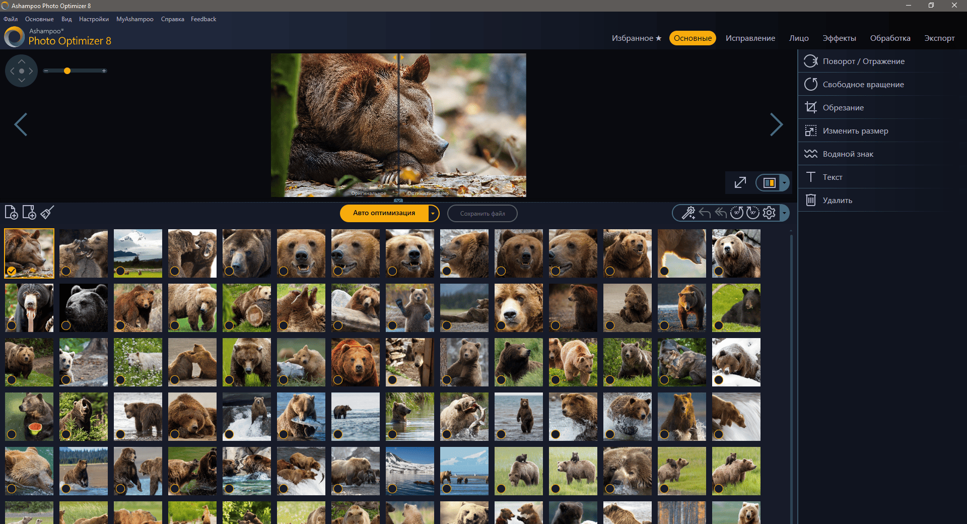 Активация Ashampoo Photo Optimizer 8.0.1.19 RePack by TryRooM