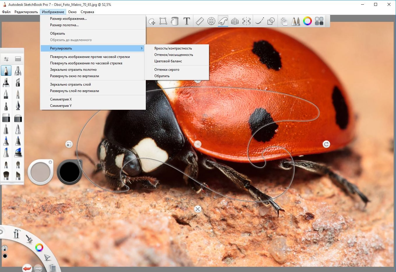 Активация Autodesk SketchBook Pro 7 7.2.1 Portable by PortableWares