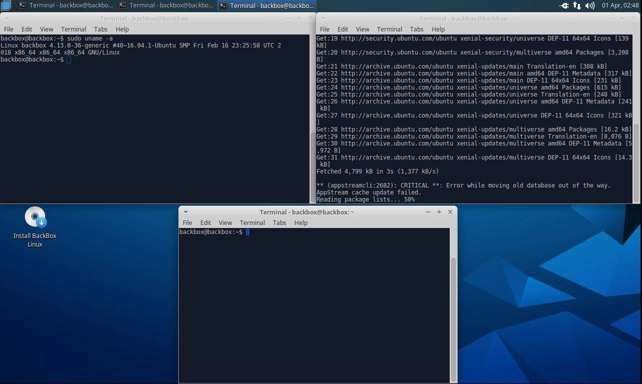 Активация BackBox Linux v5.1 2xDVD 5.1 2xDVD