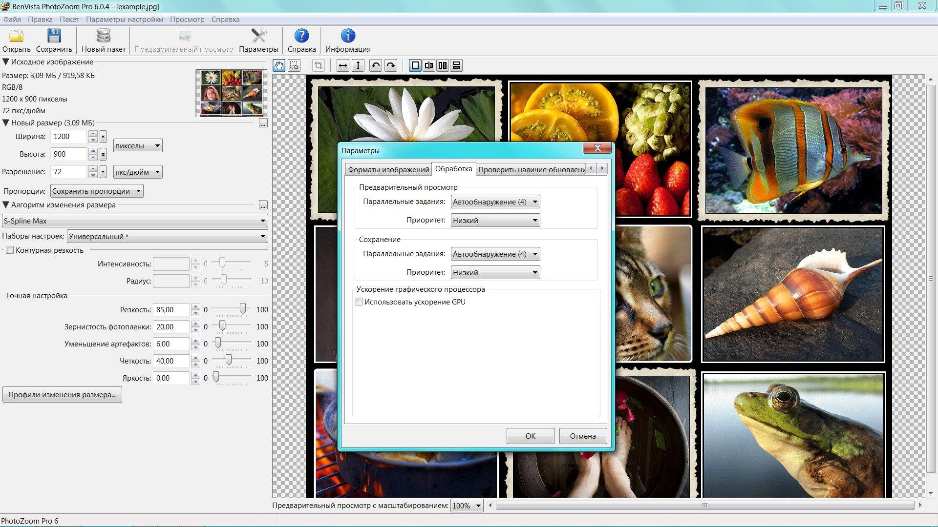Активация Benvista PhotoZoom Pro 6.0.4