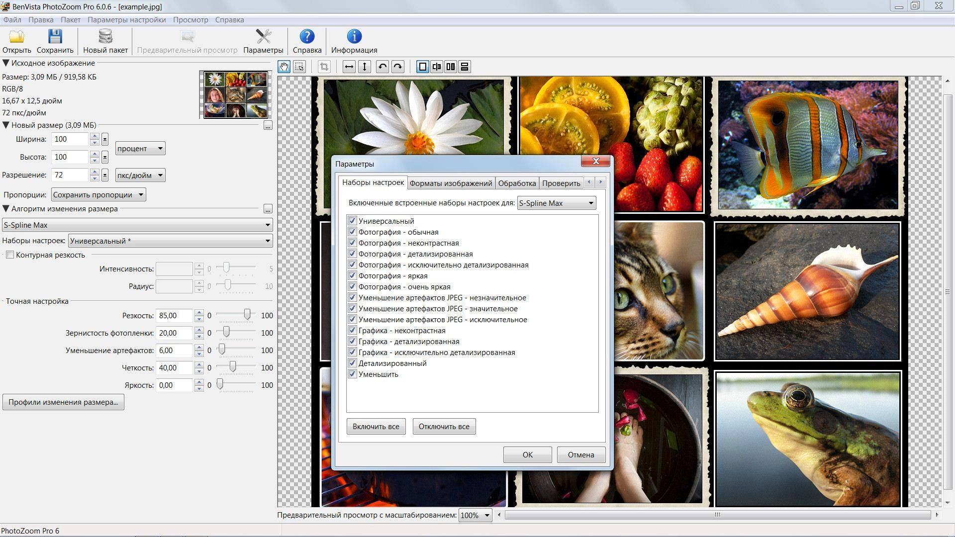 Активация Benvista PhotoZoom Pro 6.0.6