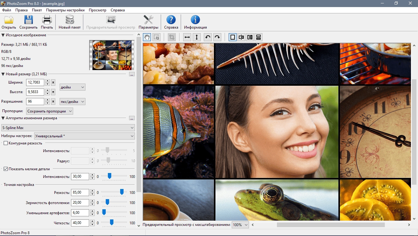 Активация Benvista PhotoZoom Pro 8.0 Portable by CheshireCat