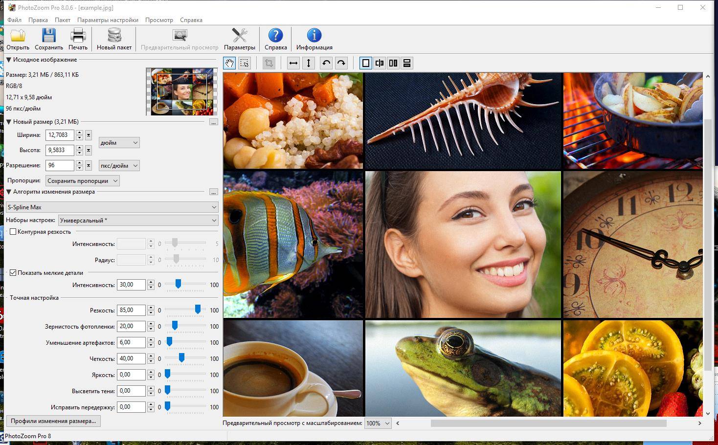 Активация Benvista PhotoZoom Pro 9.0.0 RePack by elchupacabra