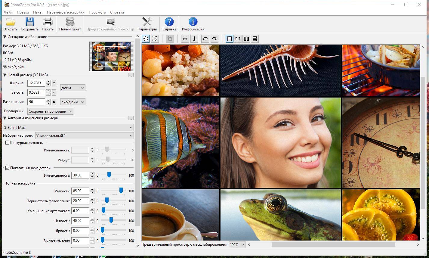 Активация Benvista PhotoZoom Pro 9.0.2 RePack by Dodakaedr