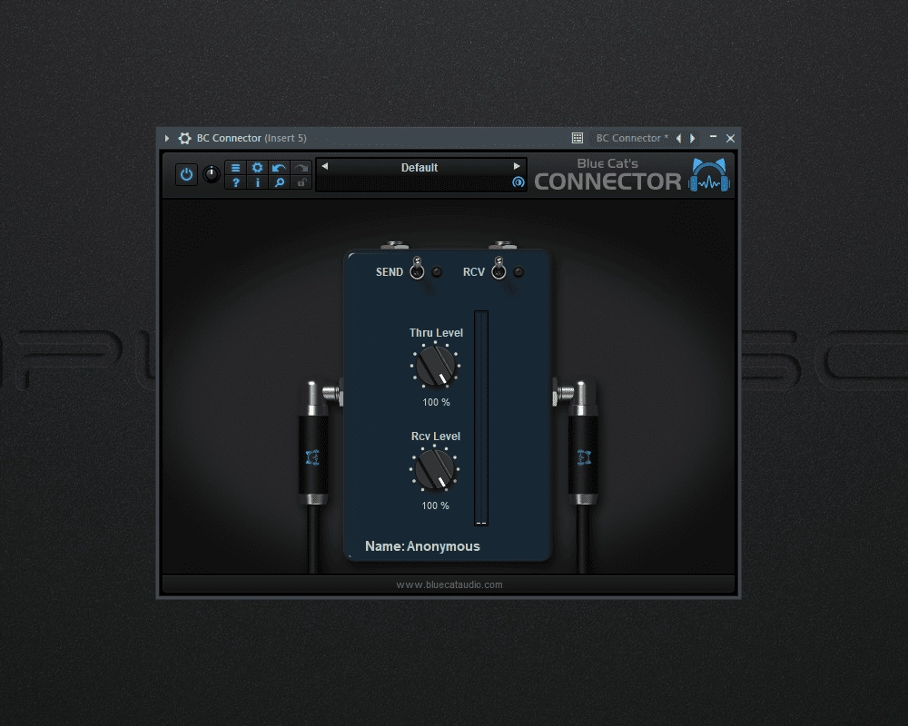 Активация Blue Cat's Connector 1.0 VST