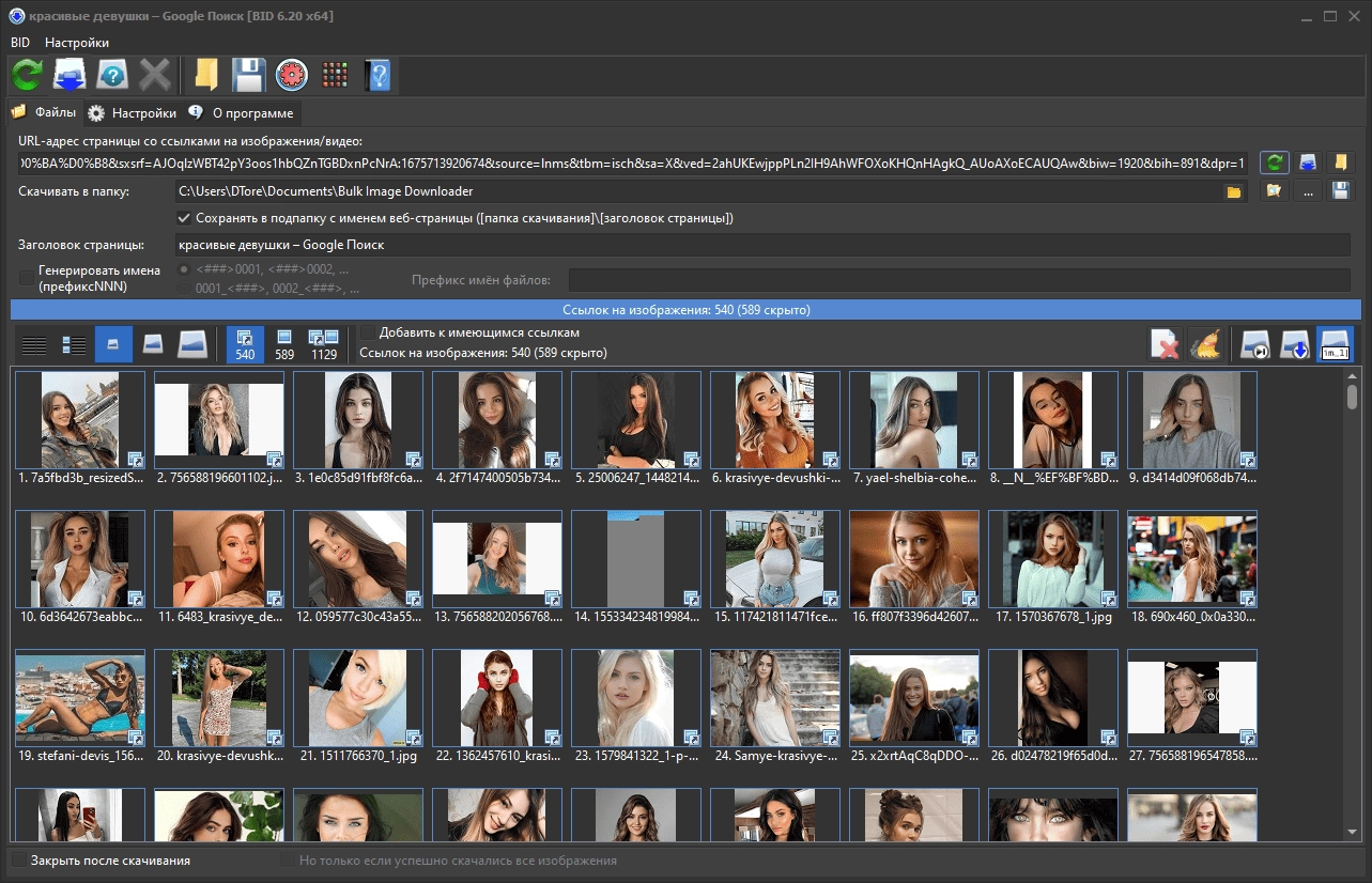 Активация Bulk Image Downloader 6.50.0.0 RePack by Dodakaedr