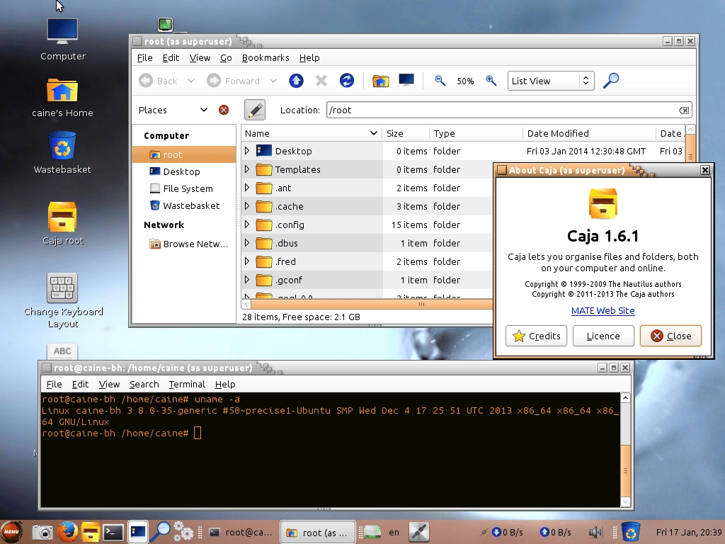 Активация CAINE 6.0 1xDVD